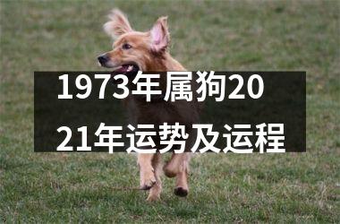 1973年属狗2025年运势及运程