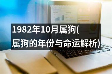 1982年10月属狗(属狗的年份与命运解析)