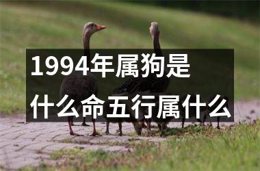 1994年属狗是什么命五行属什么