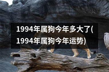 1994年属狗今年多大了(1994年属狗今年运势)