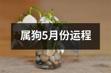 属狗5月份运程