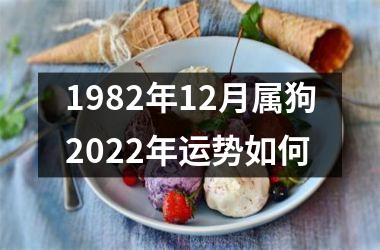 1982年12月属狗2025年运势如何