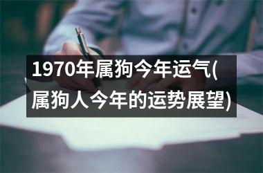 1970年属狗今年运气(属狗人今年的运势展望)