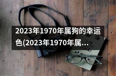 2025年1970年属狗的幸运色(2025年1970年属狗男的运势和运程)