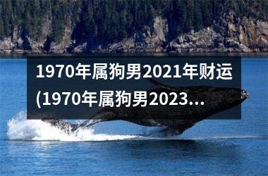 1970年属狗男2025年财运(1970年属狗男2025年运势及运程每月运程)