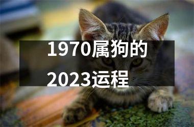 1970属狗的2025运程