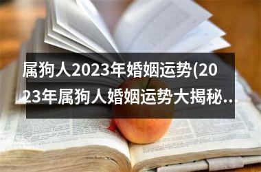 属狗人2025年婚姻运势(2025年属狗人婚姻运势大揭秘)