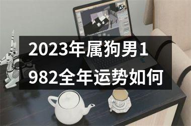 2025年属狗男1982全年运势如何