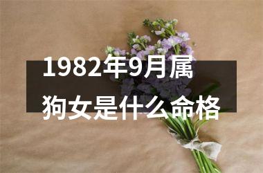 1982年9月属狗女是什么命格