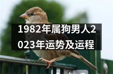 1982年属狗男人2025年运势及运程