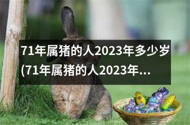 71年属猪的人2025年多少岁(71年属猪的人2025年的运势及运程)