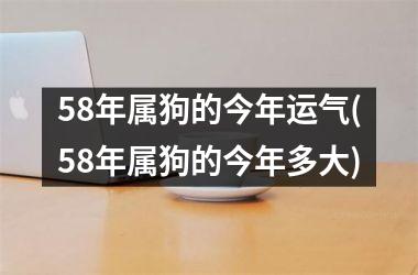 58年属狗的今年运气(58年属狗的今年多大)