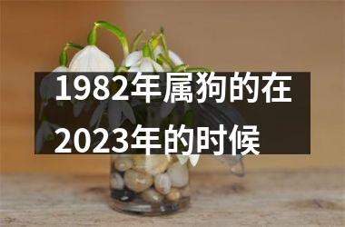 1982年属狗的在2025年的时候