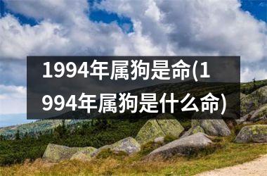 <h3>1994年属狗是命(1994年属狗是什么命)