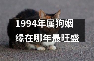 1994年属狗姻缘在哪年最旺盛