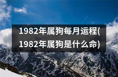 <h3>1982年属狗每月运程(1982年属狗是什么命)