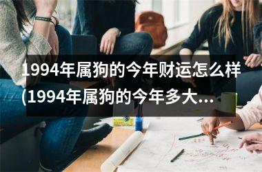 1994年属狗的今年财运怎么样(1994年属狗的今年多大)