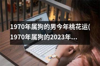 1970年属狗的男今年桃花运(1970年属狗的2025年运势和财运怎么样)