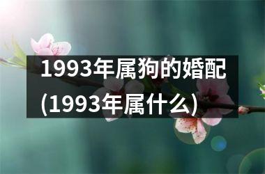 1993年属狗的婚配(1993年属什么)