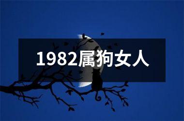 <h3>1982属狗女人