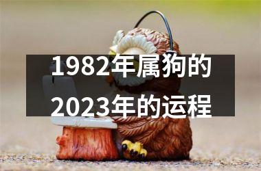 1982年属狗的2025年的运程