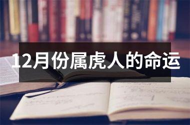 12月份属虎人的命运