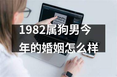 1982属狗男今年的婚姻怎么样