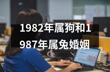 1982年属狗和1987年属兔婚姻