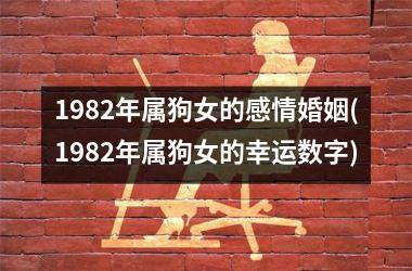 1982年属狗女的感情婚姻(1982年属狗女的幸运数字)