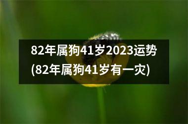 82年属狗41岁2025运势(82年属狗41岁有一灾)