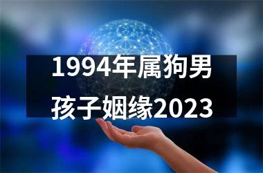 1994年属狗男孩子姻缘2025