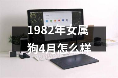 1982年女属狗4月怎么样