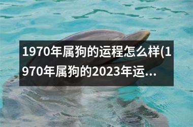 1970年属狗的运程怎么样(1970年属狗的2025年运势和财运怎么样)