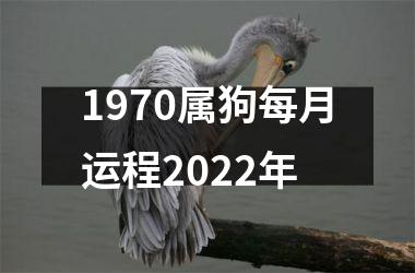 1970属狗每月运程2025年