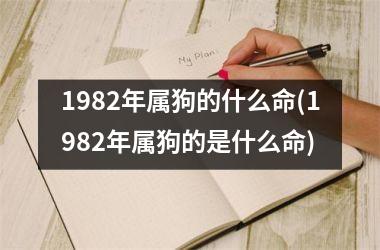 1982年属狗的什么命(1982年属狗的是什么命)