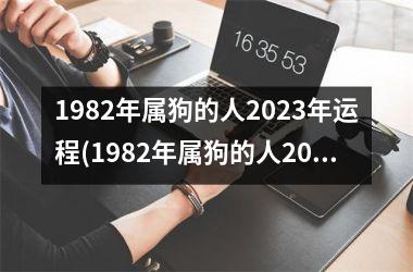 1982年属狗的人2025年运程(1982年属狗的人2025年的运势及运程)