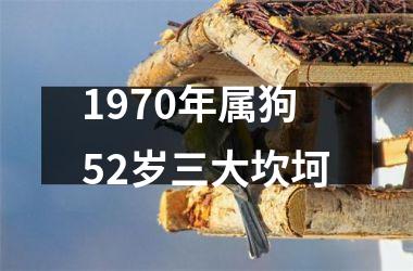 1970年属狗52岁三大坎坷