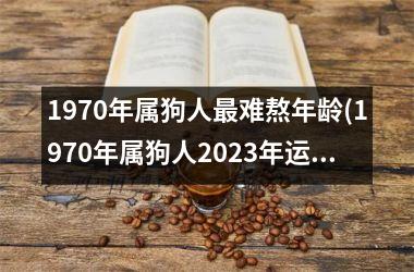 1970年属狗人最难熬年龄(1970年属狗人2025年运势运程每月运程)