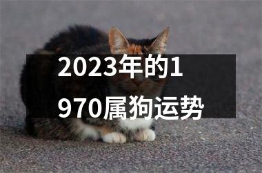 2025年的1970属狗运势