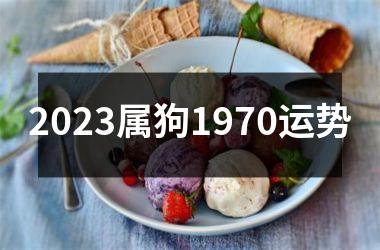 <h3>2025属狗1970运势