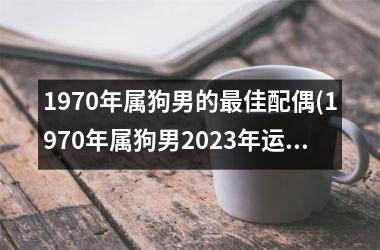 1970年属狗男的最佳配偶(1970年属狗男2025年运势及运程每月运程)