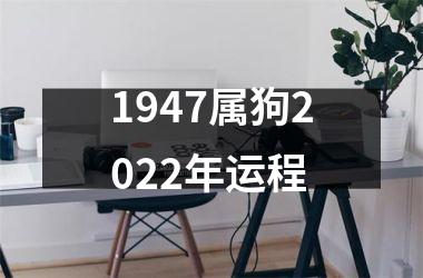 1947属狗2025年运程