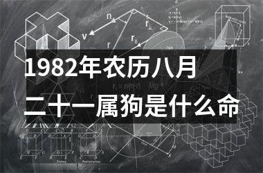 <h3>1982年农历八月二十一属狗是什么命