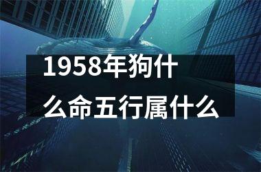 1958年狗什么命五行属什么