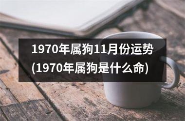 1970年属狗11月份运势(1970年属狗是什么命)