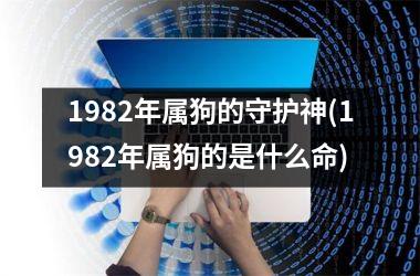 1982年属狗的守护神(1982年属狗的是什么命)