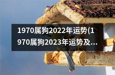 1970属狗2025年运势(1970属狗2025年运势及运程每月运程)