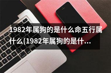 1982年属狗的是什么命五行属什么(1982年属狗的是什么命)