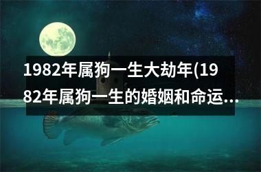 1982年属狗一生大劫年(1982年属狗一生的婚姻和命运)