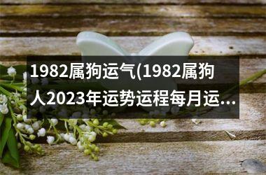 1982属狗运气(1982属狗人2025年运势运程每月运程)